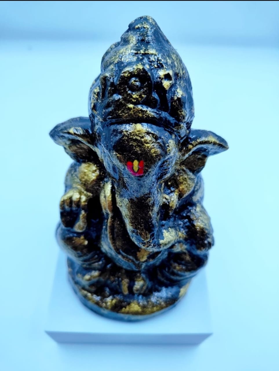 /storage/photos/1/Products/Sacred Cow Dung/2d19229d-3a13-4aa5-8619-523f57d3b229.jpeg